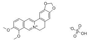 product-304-139 product-304-139