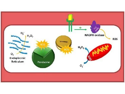 info-420-315 info-420-315