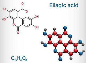 product-444-324 product-444-324