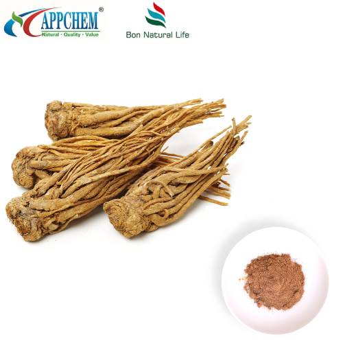 Angelica Sinensis -uute