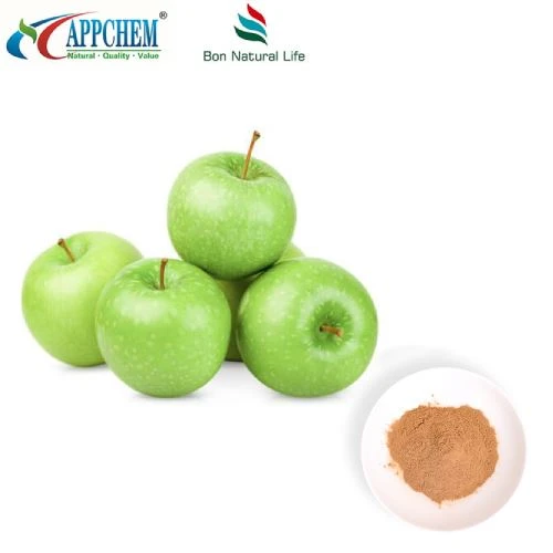 Apple Extract Procyanidin B2 -jauhe varastossa