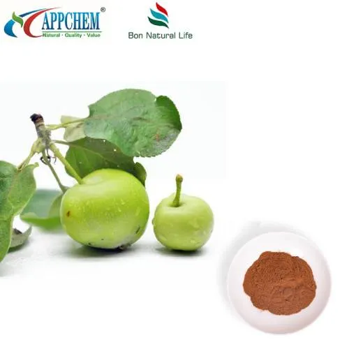 Apple Polyphenols Powder UV70% Patentoitu tuote