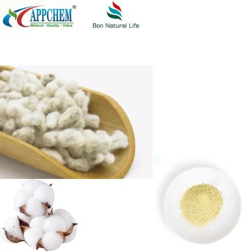 Puuvillansiemenuutejauhe