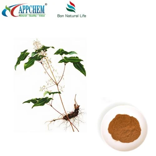 Epimedium-uutejauhe