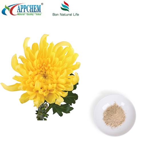 Flos Chrysanthemi -uutejauhe