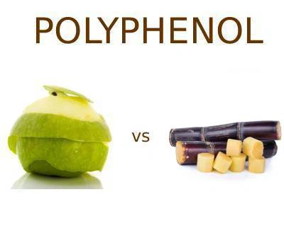 Omenapolyfenolit vs. sokeriruo'on polyfenolit: kumpi palvelee paremmin toimin...