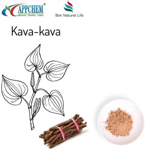 Kava-uute
