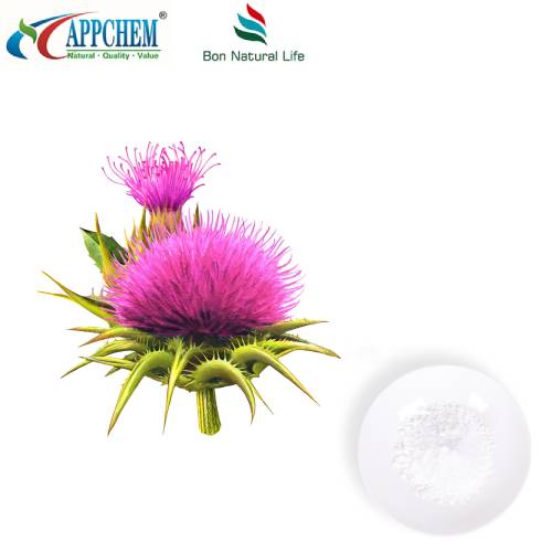 Silybin Milk Thistle -uute