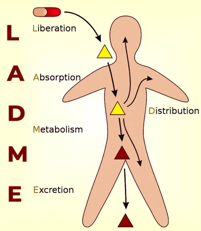 product-674-772 product-674-772