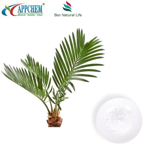 Saw Palmetto -uutejauhe