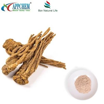Angelica Sinensis -uutejauhe