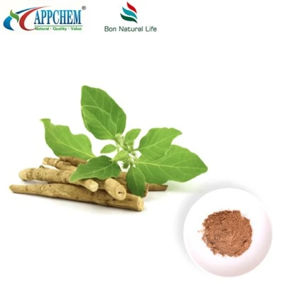 Ashwagandha-uuttejauhe (Withanolides) Valmistaminen 30655-48-2