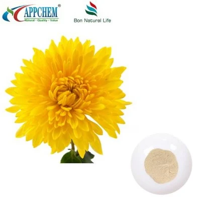 Flos Chrysanthemi -uute
