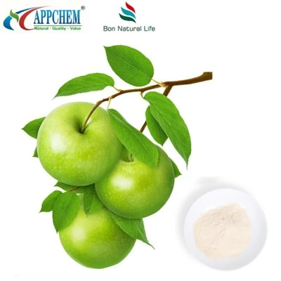HPLC90 % Phloretin Powder COA TDS