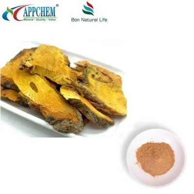 Resveratrol Polygonum Cuspidatum -uutejauhe